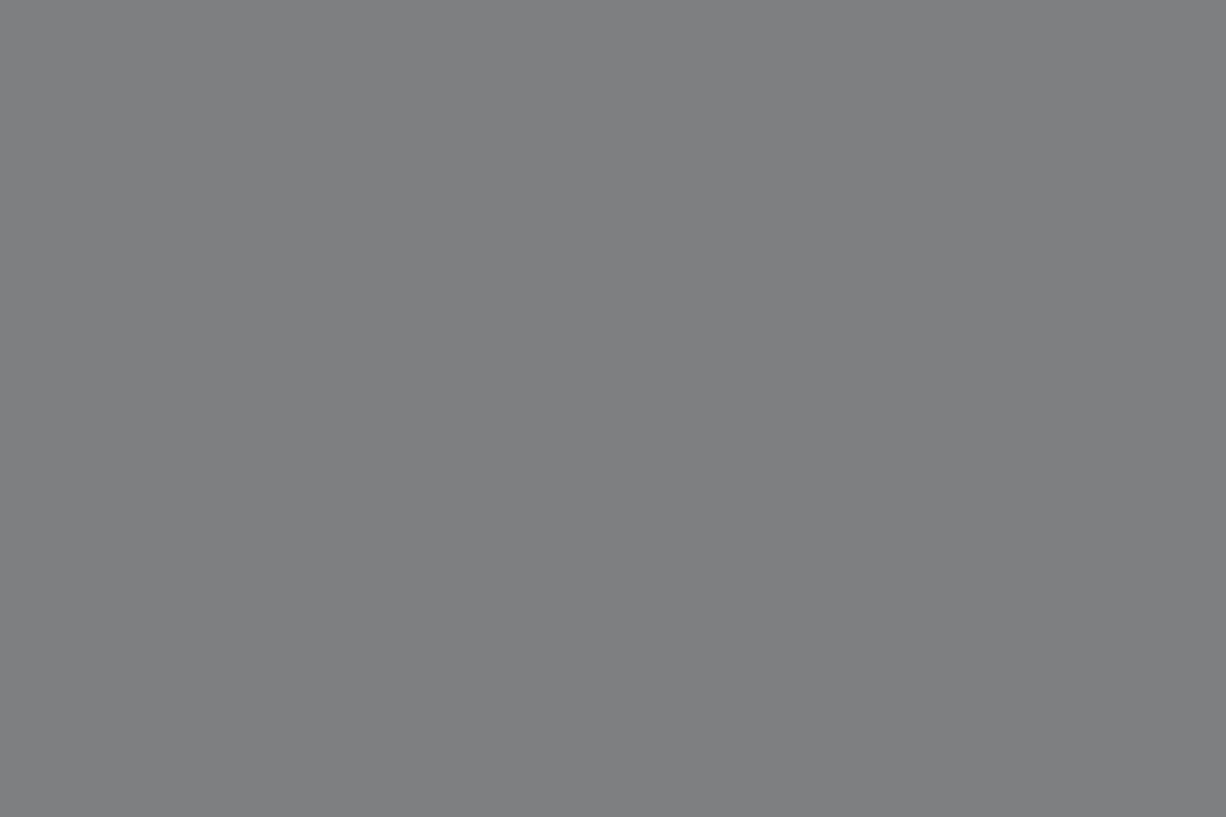 Placeholder orizzontale grigio scuro